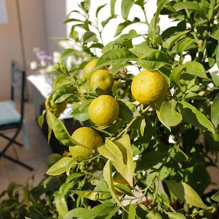 Vakantiehuis Charmantes Haus Im Golf Club Tropez