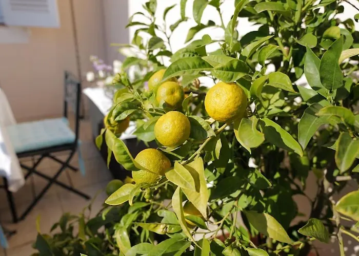 Vakantiehuis Charmantes Haus Im Golf Club Tropez